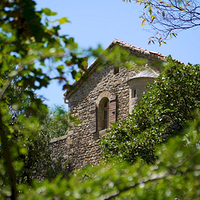 Photo de France - Saint Martin du Canigou